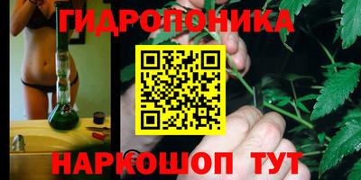 a pvp Будённовск